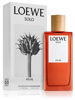 Парфюмерная вода LOEWE Solo Atlas